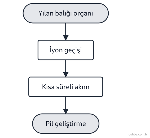 Fizik — Fizik Bilimi ve Kariyer Keşfi ünitesi: Şemadaki süreç, elektrikli yılan balığının organlarındaki iyon geçişinden esinlenerek ekonomik 