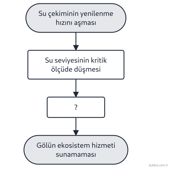 Biyoloji — Ekoloji ünitesi: Aşağıdaki şemada su kaynaklarının aşırı kullanımının bir göl ekosistemine etkileri sıralanmakta