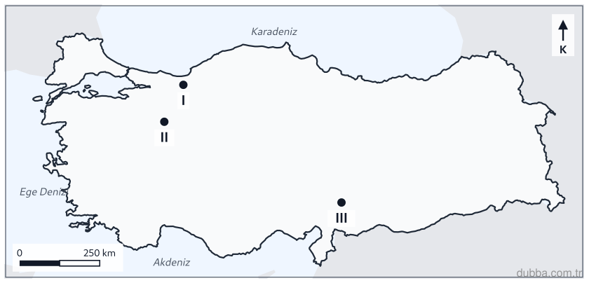 Coğrafya — Doğal Sistemler ve Süreçler ünitesi: Türkiye haritasında I, II ve III ile gösterilen ovalardan hangisinde Doğu Anadolu Fay Zonu boyu