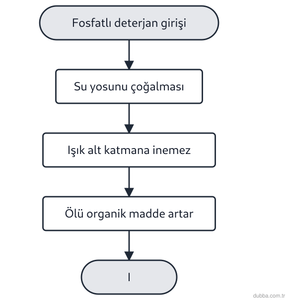 Biyoloji — Ekoloji ünitesi: Deterjan fosfatının gölete karıştığı süreç şemasında I numaralı basamak hangi olaya karşılık ge