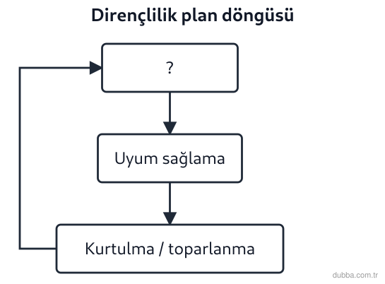 Coğrafya — Afetler ve Sürdürülebilir Çevre ünitesi: Akış şemasında dirençlilik plan döngüsünün boş bırakılan I numaralı adımı aşağıdakilerden hangi