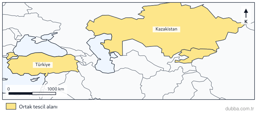 Coğrafya — Bölgeler, Ülkeler ve Küresel Bağlantılar ünitesi: Kazakistan’dan Anadolu’ya uzanan haritada taralı üç ülkede UNESCO İnsanlığın Somut Olmayan Kült