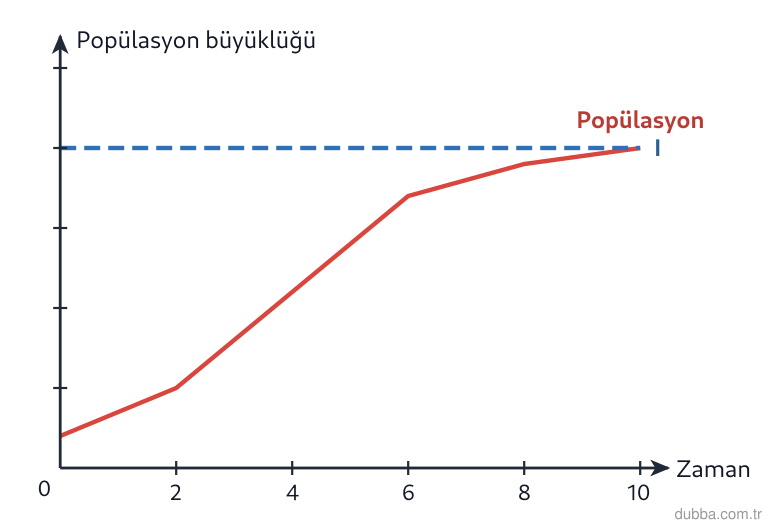 Biyoloji — Ekoloji ünitesi: Grafikteki yatay çizgi ve eğrinin bu çizgiye yaklaşırken yavaşlaması sırasıyla neyi ifade eder?
