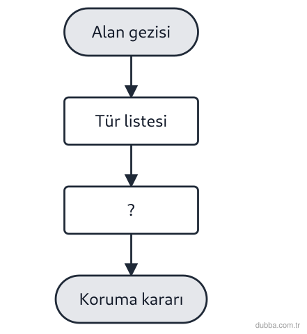 Biyoloji — Organizasyon ünitesi: Şekildeki süreç, bir sulak alanda biyoçeşitliliği korumayı özetler. “?” kutusuna bireysel ölçek