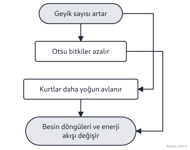 Biyoloji — Ekoloji ünitesi: Bir ormanda geyik popülasyonunun hızla artmasıyla ilgili aşağıdaki öncüllerden hangileri doğrud