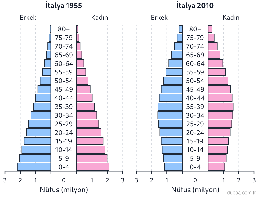 Coğrafya — Beşerî Sistemler ve Süreçler ünitesi: İtalya’nın 1955 ve 2010 nüfus piramitleri aşağıdadır. Bu dönüşümle ilgili hangisi doğru değildi