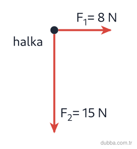 Fizik — Kuvvet ve Hareket ünitesi: Şekildeki halkaya aynı düzlemde F1 = 8 N (sağa) ve F2 = 15 N (aşağı) kuvvetleri etki ediyor. Pa