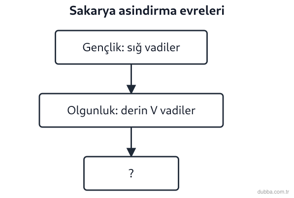 Coğrafya — Doğal Sistemler ve Süreçler ünitesi: Sakarya Nehri’nin uzun süreli aşındırmasında üçüncü evreye gelindiğinde taban seviyesine yaklaş