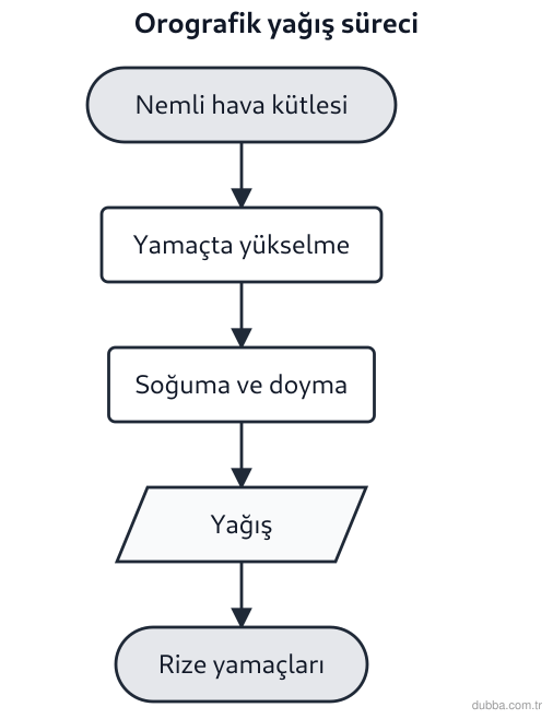 Coğrafya — Doğal Sistemler ve Süreçler ünitesi: Kaçkar Dağları’nın Rize’ye bakan yamaçlarında orografik yağışın oluşması için aşağıdakilerden h