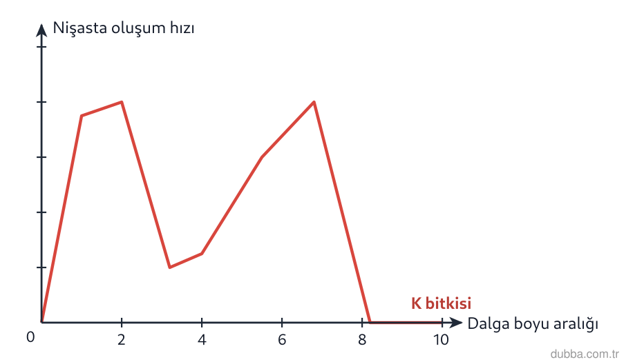 Biyoloji — Enerji ünitesi: Karasal bir çiçekli bitkinin yaprak özütüyle elde edilen grafikte görünür bölgede en düşük foto