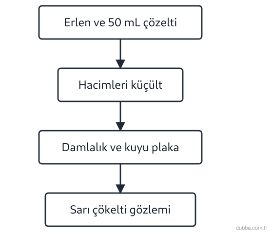 Kimya — Sürdürülebilirlik ünitesi: Şemadaki basamaklar, makro ölçekli Pb(NO3)2 ve KI çözeltilerinin karıştırılmasıyla sarı çökelti