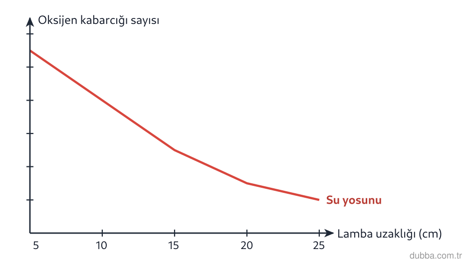 Biyoloji — Enerji ünitesi: Grafikte su yosunuyla yapılan deneyde lamba uzaklığı değiştikçe oksijen kabarcığı sayısına bakı