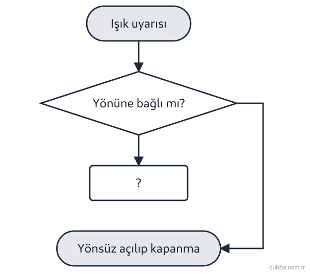 Biyoloji — Tepki ünitesi: Şemada bir bitkinin ışığa verdiği tepkiler, uyarının yönüne bağlı olup olmamasına göre iki kola