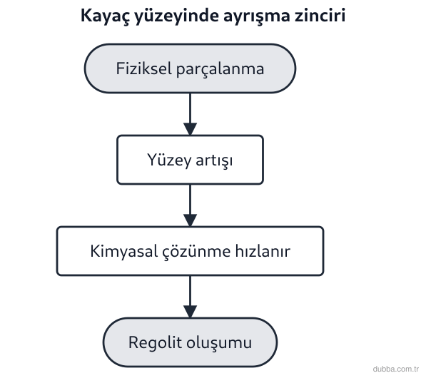 Coğrafya — Doğal Sistemler ve Süreçler ünitesi: Erzurum çevresindeki granit yüzeylerde gözlenen süreçlerle ilgili şu yargılar verilmiştir. I. K
