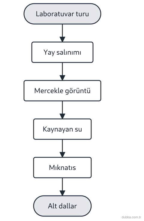 Fizik — Fizik Bilimi ve Kariyer Keşfi ünitesi: Şemadaki duraklar sırasıyla mekanik, optik, termodinamik ve elektromanyetizma örnekleridir. Bu 
