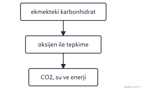 Kimya — Etkileşim ünitesi: Akış şeması, ekmekteki karbonhidratın vücutta enerjiye dönüşmesini özetlemektedir. Karbonhidrat