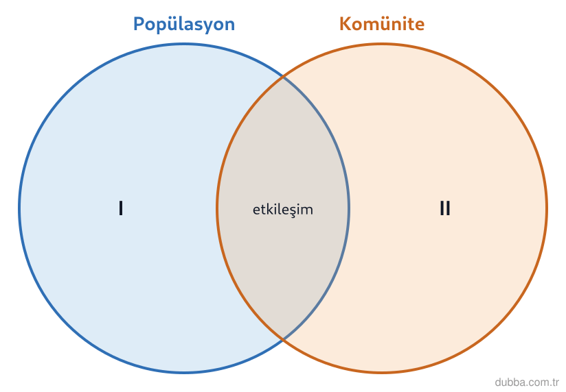 Biyoloji — Ekoloji ünitesi: Şemadaki kümeler popülasyon ve komüniteyi gösterir. Aşağıdakilerden hangisi yanlıştır?