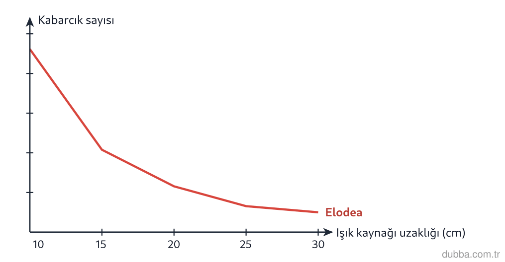 Biyoloji — Enerji ünitesi: Grafikteki eğriye göre ışık kaynağının bitkiye uzaklığı arttıkça kabarcık sayısı azalır. Bu den