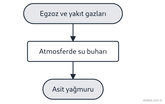 Biyoloji — Ekoloji ünitesi: Yoğun kara trafiğinin olduğu kentte asit yağmuruna yol açan gazlarla ilgili, I. NO2 II. O3 III.