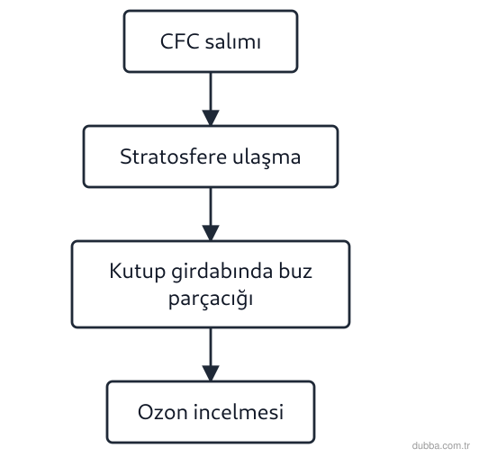Kimya — Sürdürülebilirlik ünitesi: Akış şemasındaki zincirde stratosfer ozonunun incelmesiyle doğrudan bağlantılı olan olay hangis