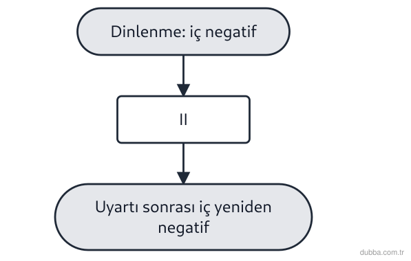 Biyoloji — Tepki ünitesi: Akış şeması, bir nöronda uyartı iletimi sırasında zarın iç kısmındaki yük değişimini göstermekt