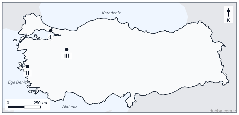 Coğrafya — Beşerî Sistemler ve Süreçler ünitesi: Haritada I, II ve III ile numaralandırılan yerleşmeler, ulaşım fonksiyonunun hangi alt türleriy
