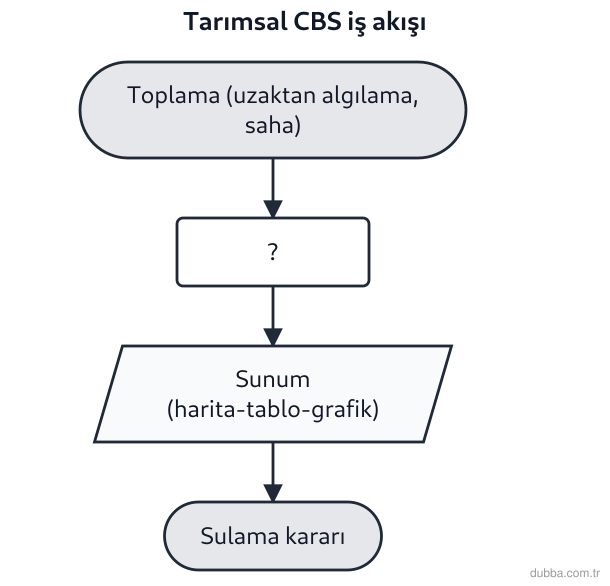 Coğrafya — Mekânsal Bilgi Teknolojileri ünitesi: Konya ovasındaki tarımsal izleme istasyonunda uzaktan algılama ve saha ölçümleriyle kurulan CBS