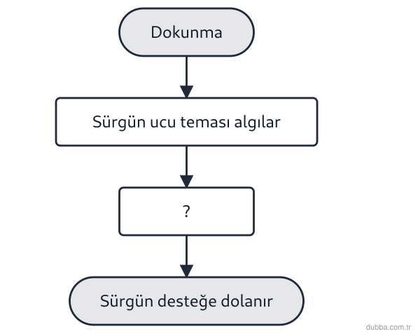Biyoloji — Tepki ünitesi: Şemada bir sarmaşığın desteğe değince sürgününü onun çevresine dolaması özetlenmiştir. Buna gör