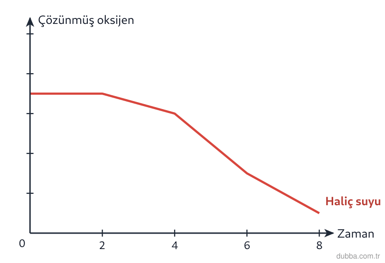 Biyoloji — Ekoloji ünitesi: Grafikteki eğriye göre t1 sonrası çözünmüş oksijenin hızla düşmesi, bir haliçte ötrofikasyon il