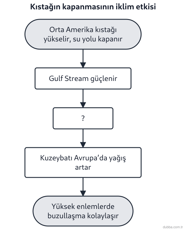 Coğrafya — Doğal Sistemler ve Süreçler ünitesi: Orta Amerika kıstağının yükselerek okyanuslar arasındaki bağlantıyı kesmesiyle başlayan doğal i