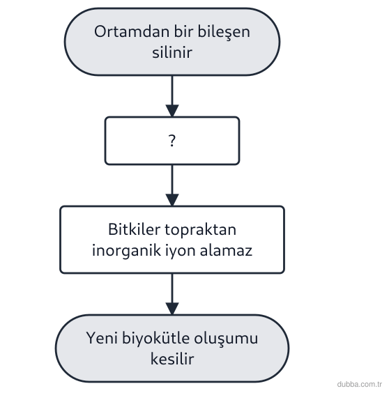 Biyoloji — Ekoloji ünitesi: Orman tabanı deney düzeneğinde şemadaki I numaralı basamak, bitkilerin topraktan inorganik iyon