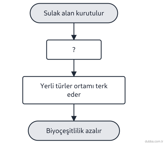 Biyoloji — Organizasyon ünitesi: Şekildeki akış, bir sulak alanın kurutulmasıyla başlayan süreci gösterir. “?” basamağı ve sürec