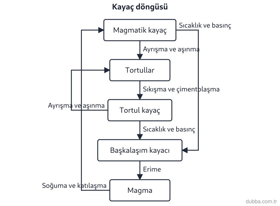 Coğrafya — Doğal Sistemler ve Süreçler ünitesi: Şekildeki kayaç döngüsünde magmatik kayaçtan tortul kayaca giden yol ile ilgili aşağıdakilerden