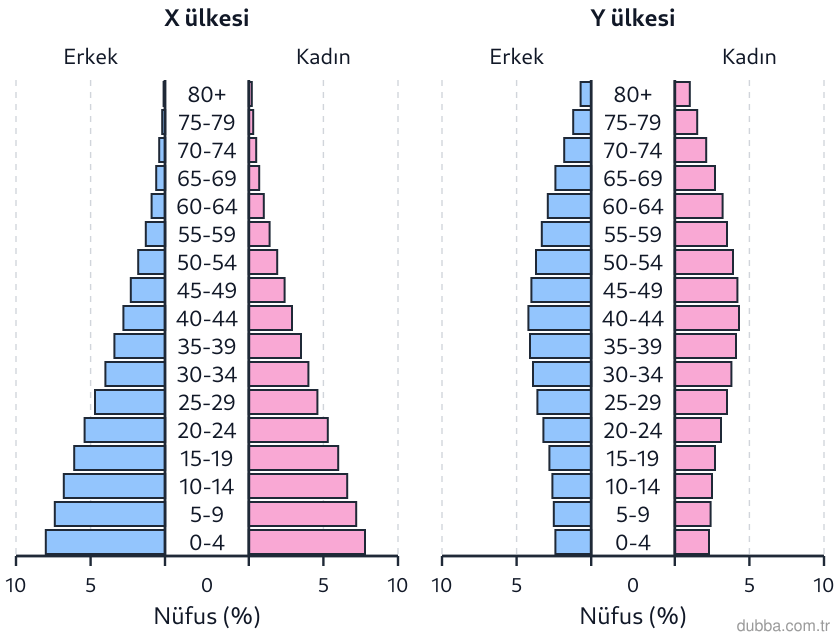 Coğrafya — Beşerî Sistemler ve Süreçler ünitesi: Şekilde X ve Y ülkelerinin nüfus piramitleri verilmiştir. Bu ülkelere ilişkin aşağıdaki eşleşti