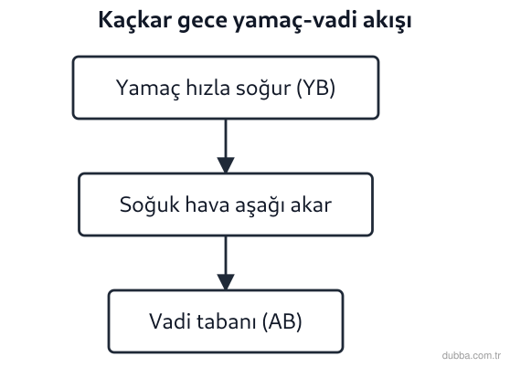 Coğrafya — Doğal Sistemler ve Süreçler ünitesi: Kaçkar Dağları’nın yamaçlarında gece saatlerinde oluşan yerel dolaşım şekilde adım adım verilmi