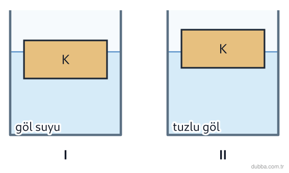 Fizik — Akışkanlar ünitesi: K salı I. gölde (düşük tuzluluk) ve II. gölde (yüksek tuzluluk) şekildeki gibi dengede yüzmekte