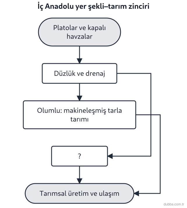 Coğrafya — Doğal Sistemler ve Süreçler ünitesi: İç Anadolu’daki tarım–ulaşım süreç şemasında (?) ile gösterilen kutu, yer şekillerinin beşerî f