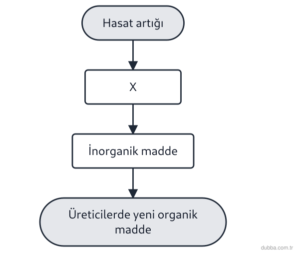 Biyoloji — Ekoloji ünitesi: Bir tarla toprağında ayrıştırıcılar tamamen yok edilirse, I. Hasat artıkları inorganik maddeye 