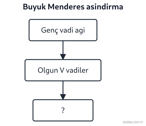 Coğrafya — Doğal Sistemler ve Süreçler ünitesi: Büyük Menderes’in aşındırma döngüsünde şemadaki son kutu hangi kavramı ve görünümü karşılar?