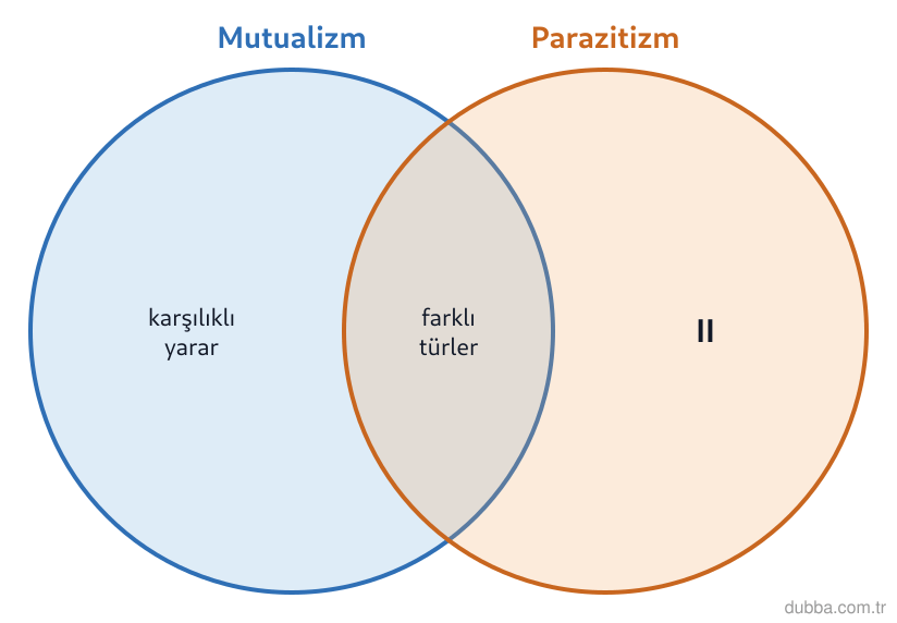 Biyoloji — Ekoloji ünitesi: Venn diyagramında II ile gösterilen, yalnızca bir ilişkiye özgü alana hangi örnek konulmalıdır?