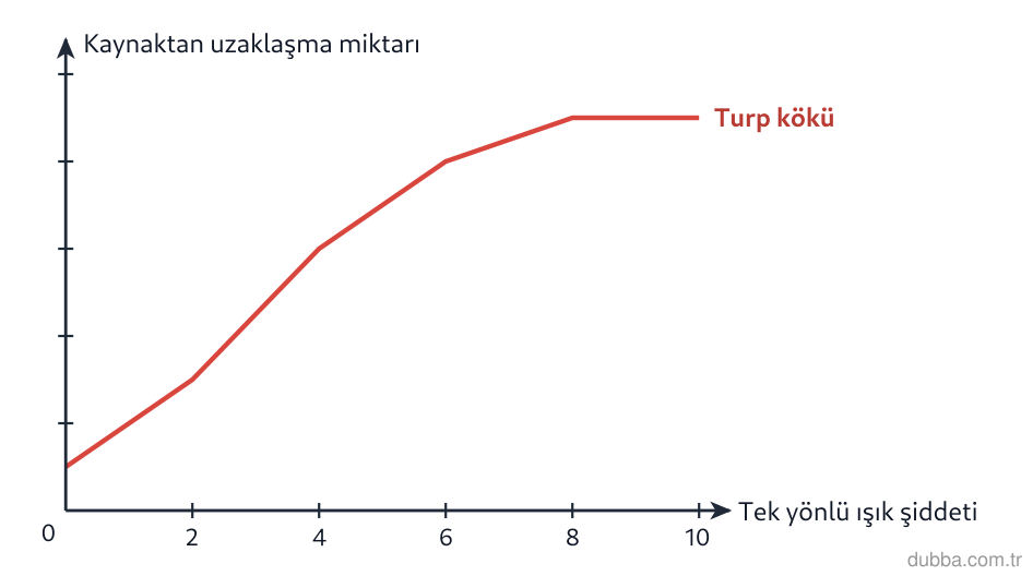 Biyoloji — Tepki ünitesi: Grafikte x ekseni tek yönlü ışığın şiddetini, y ekseni turp fide kökünün ışık kaynağından uzakl
