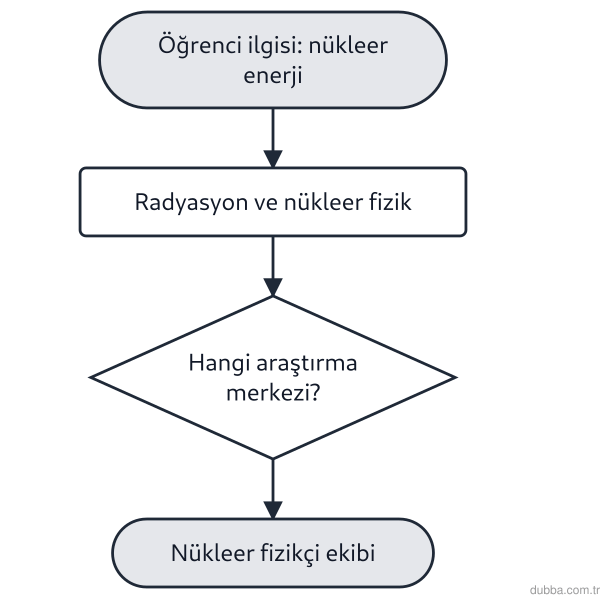 Fizik — Fizik Bilimi ve Kariyer Keşfi ünitesi: Kariyer keşfi şemasında nükleer enerji ve radyasyon fiziğine yönelen öğrencinin gideceği merkez