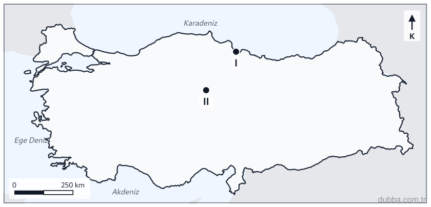 Coğrafya — Doğal Sistemler ve Süreçler ünitesi: Türkiye haritasında I numaralı işaret Karadeniz kıyısındaki geniş bir alüvyal düzlüğü, II numar