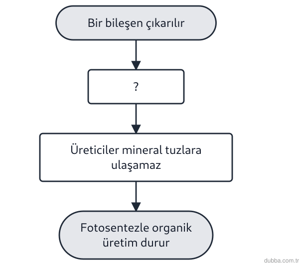 Biyoloji — Ekoloji ünitesi: Kapalı bir akvaryum şemasında I numaralı basamak, üreticilerin mineral tuzlara ulaşamamasını gö