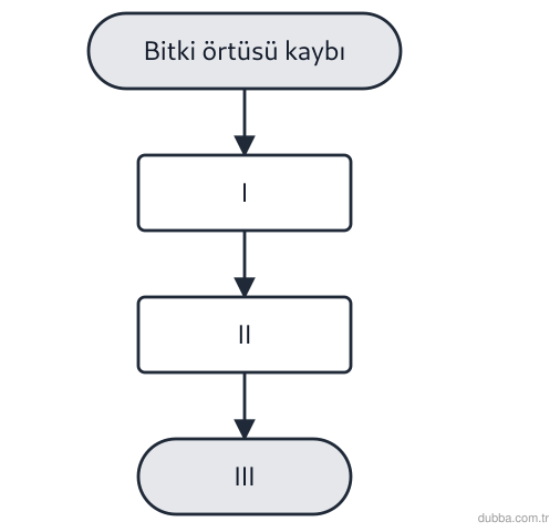 Biyoloji — Ekoloji ünitesi: Akarsu havzasında bitki örtüsünün tahribi sonrası oluşan erozyon zinciri şemada I, II ve III il