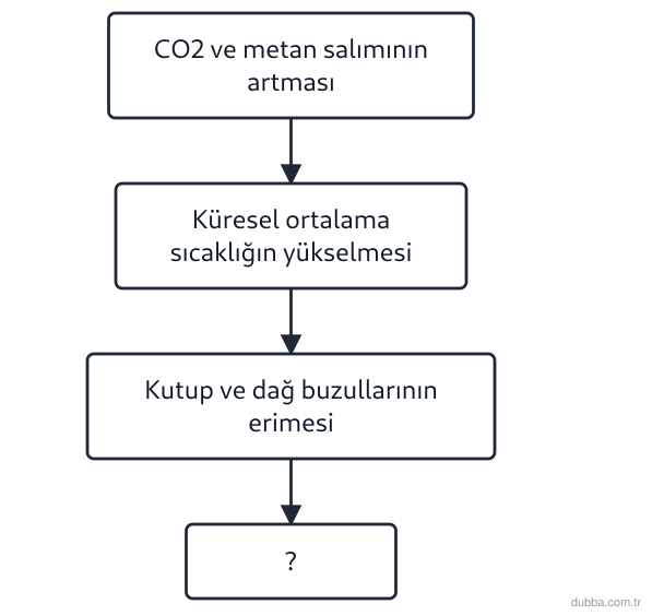 Kimya — Sürdürülebilirlik ünitesi: Karbon döngüsünün insan kaynaklı faaliyetlerle bozulması sonucunda ortaya çıkan süreç aşağıdaki