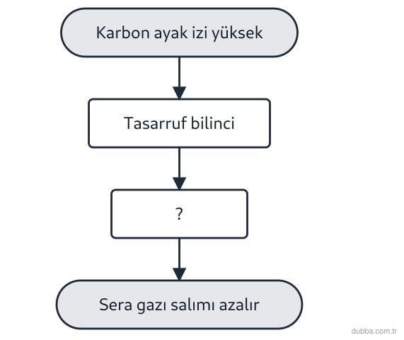Fizik — Enerji ünitesi: Şemada bir ülkenin karbon ayak izini azaltma süreci verilmiştir. Boş adım (c) ve sürecin bütünü
