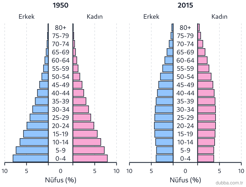 Coğrafya — Beşerî Sistemler ve Süreçler ünitesi: Aşağıdaki 1950 ve 2015 yıllarına ait Türkiye nüfus piramitleri birlikte incelendiğinde demograf