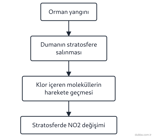 Kimya — Sürdürülebilirlik ünitesi: Akış şemasındaki süreçte stratosferdeki azot dioksitte keskin düşüşün doğrudan ilişkili olduğu 