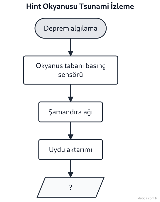 Coğrafya — Afetler ve Sürdürülebilir Çevre ünitesi: Hint Okyanusu tsunami izleme zincirinde boş bırakılan kutu aşağıdakilerden hangisine karşılık g